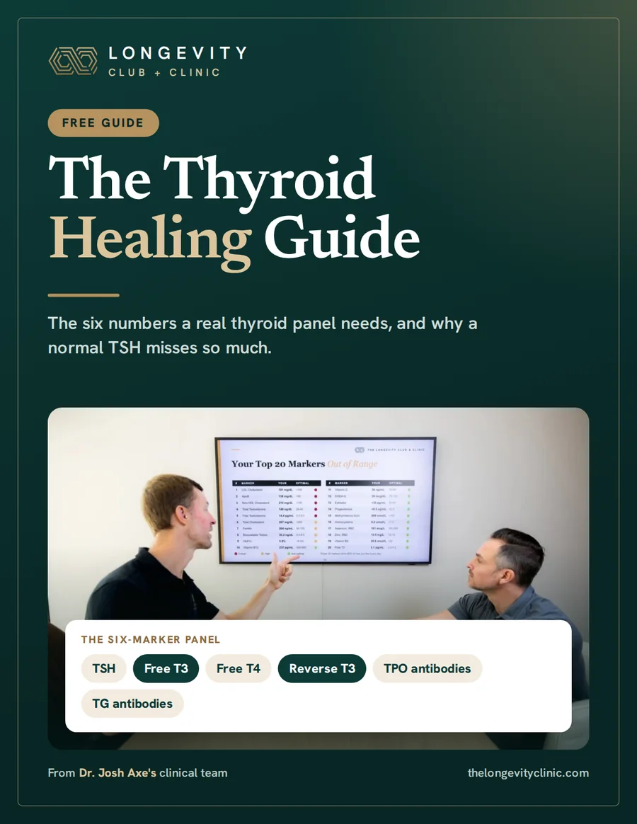 Cover of The Thyroid Healing Guide, a free guide from The Longevity Club + Clinic